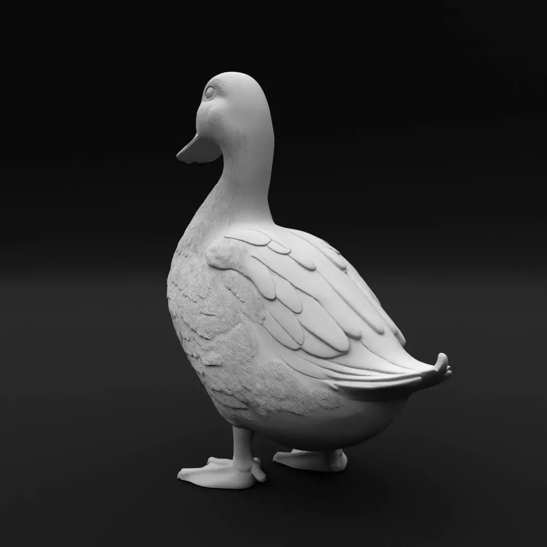 Realistic Duck Standing - 3D Print Model 3D print model_3