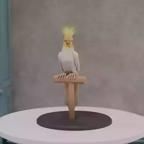 cockatiel