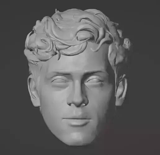 Franco Colapinto Head