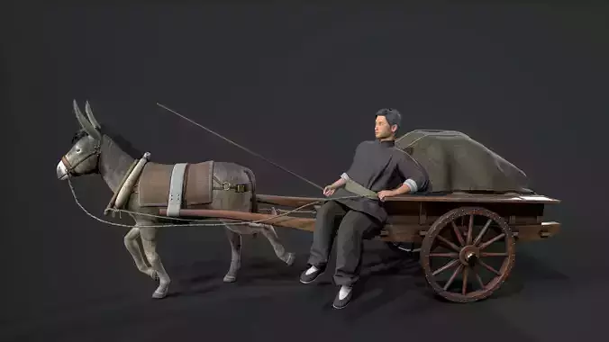 Rustic Donkey-Pulled Cart