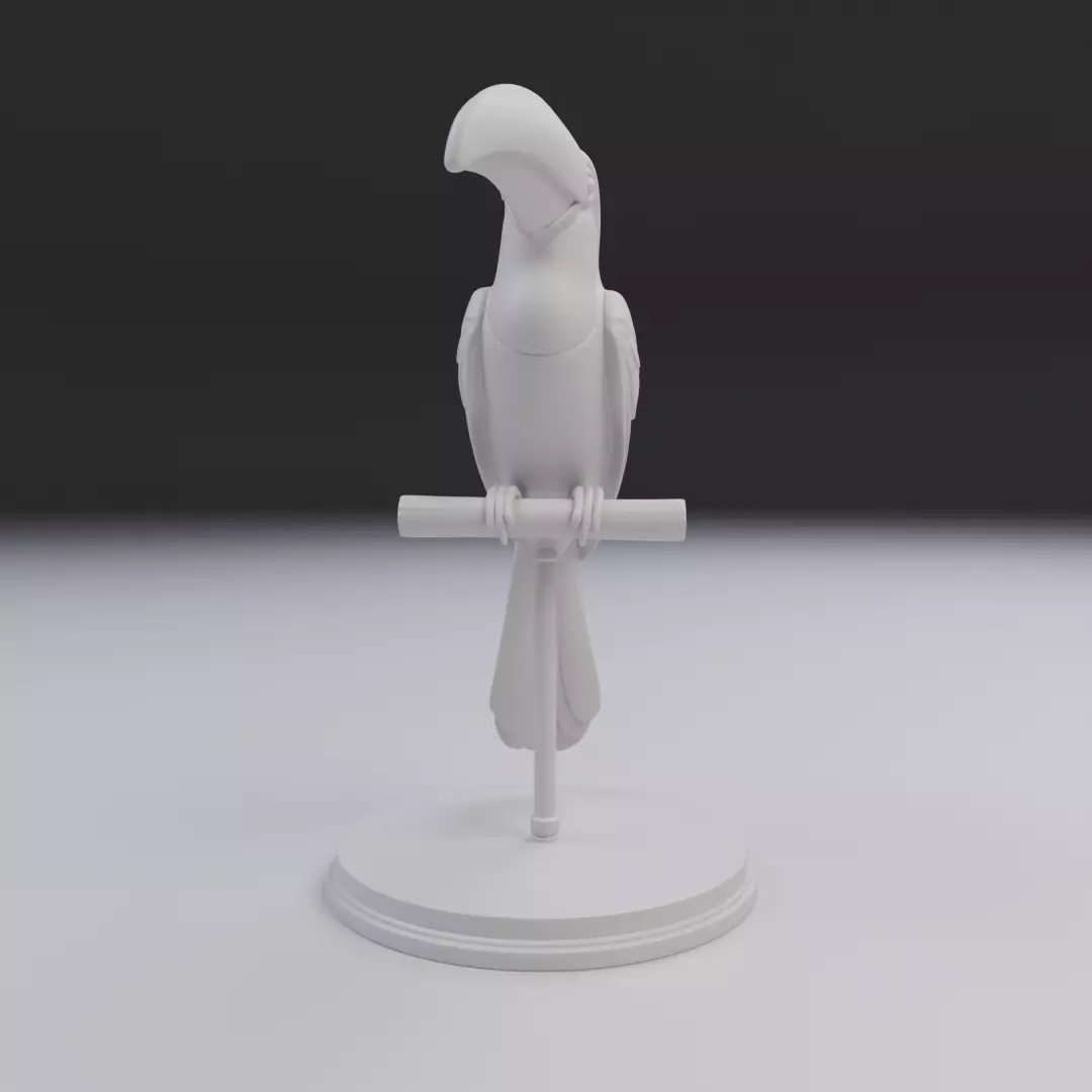 toucan 3D print model_2