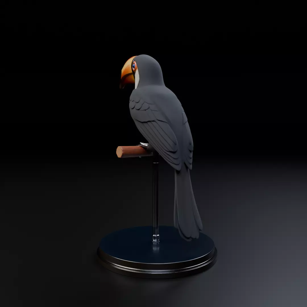 toucan 3D print model_9