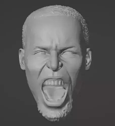 Steph Curry Screaming Head