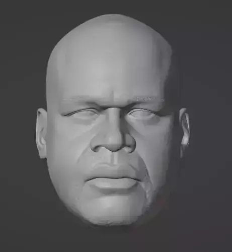 Shaquille O neal Head