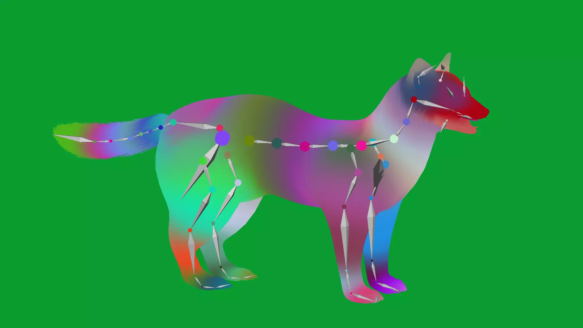 European Pine Marten Low-poly 3D model_25