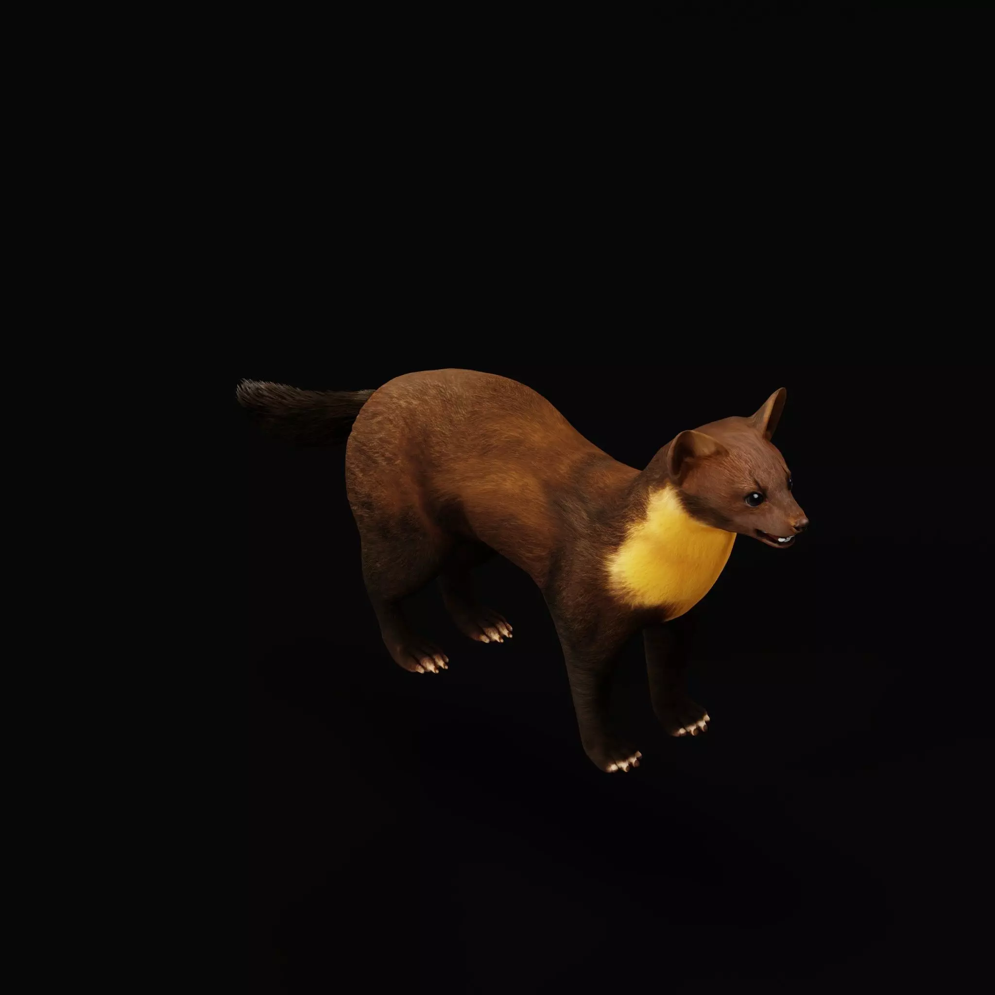 European Pine Marten Low-poly 3D model_12