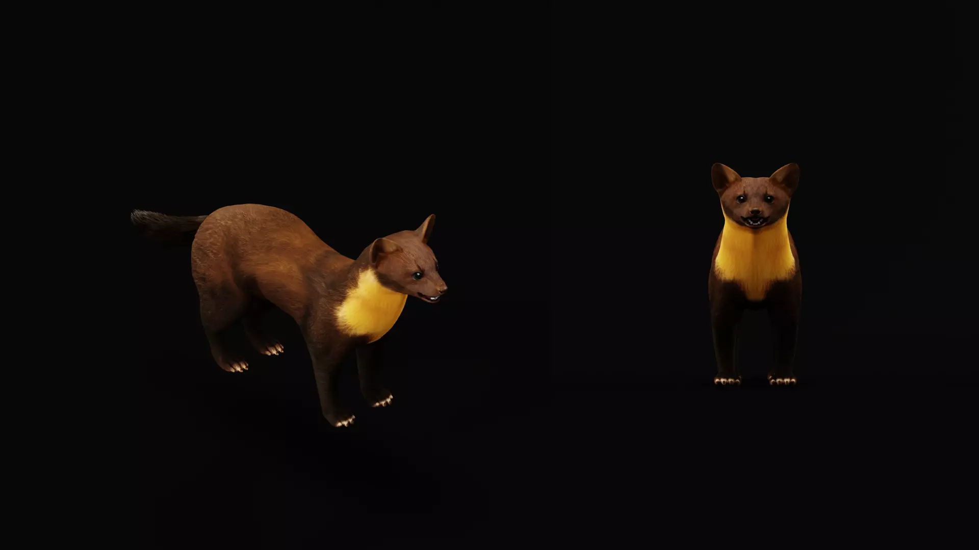 European Pine Marten Low-poly 3D model_15