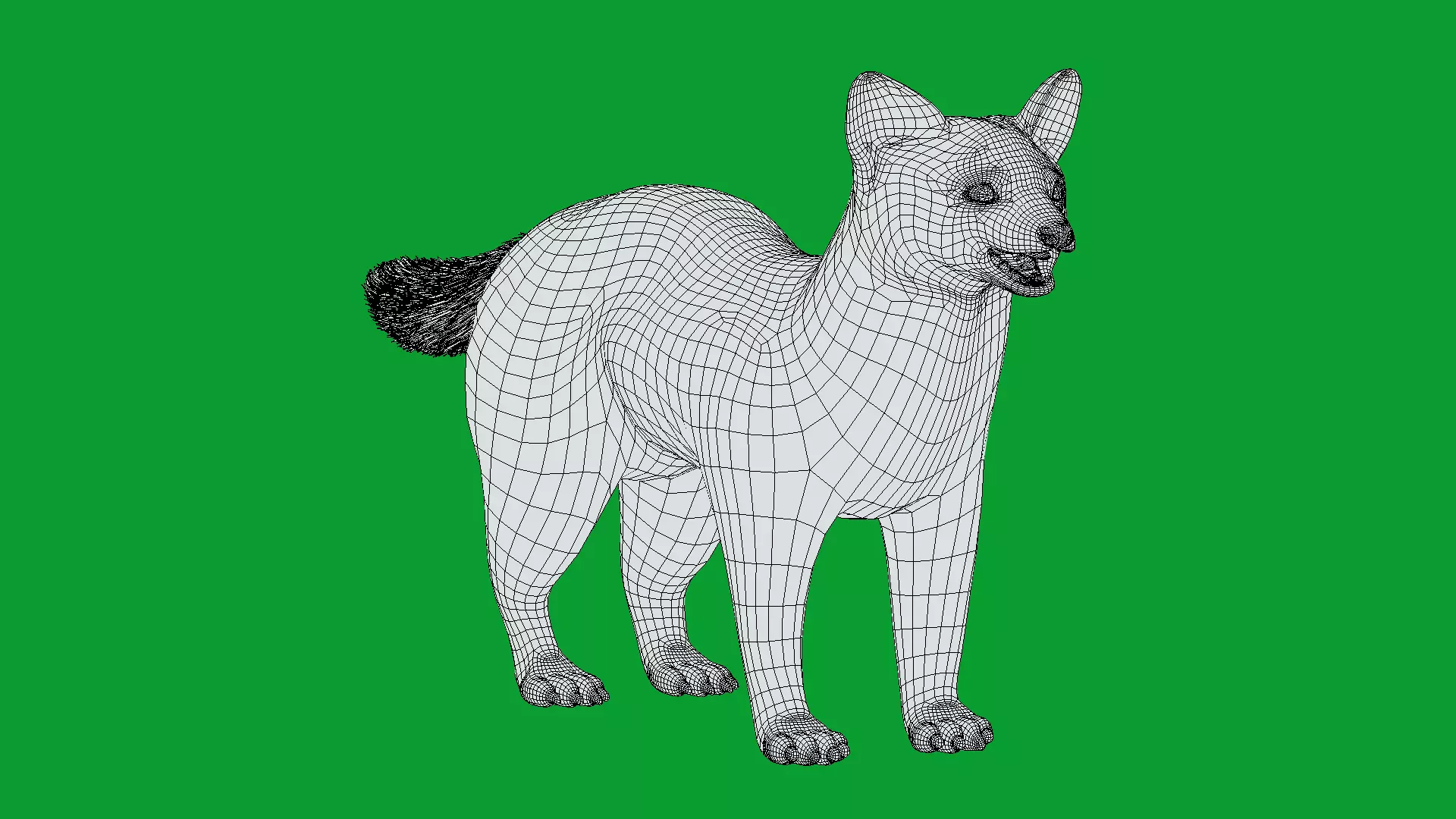 European Pine Marten Low-poly 3D model_17