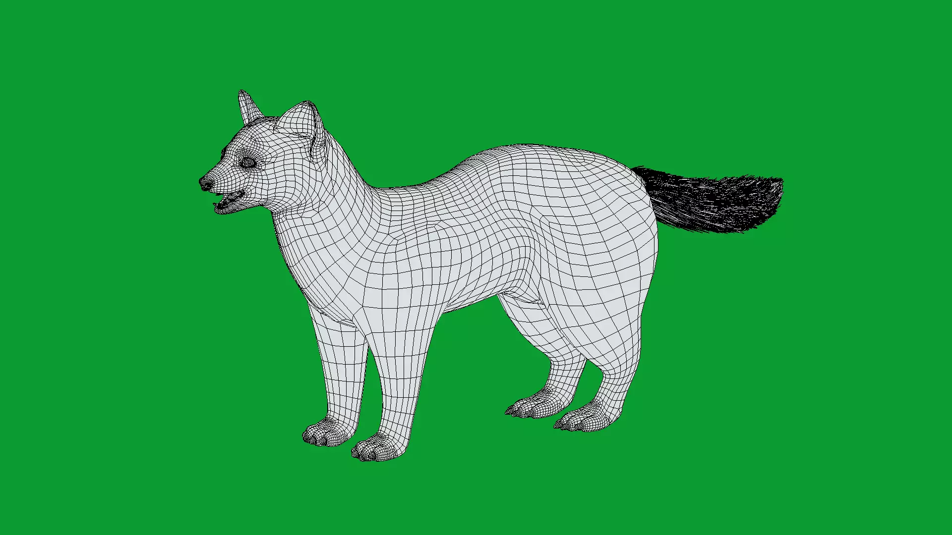 European Pine Marten Low-poly 3D model_30