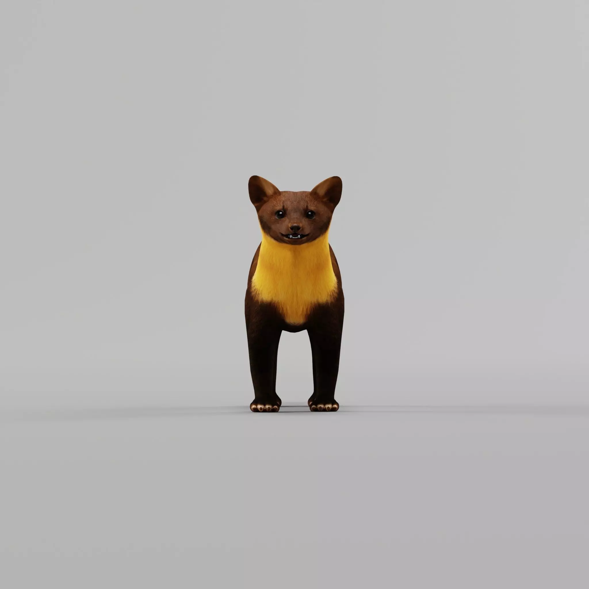 European Pine Marten Low-poly 3D model_14