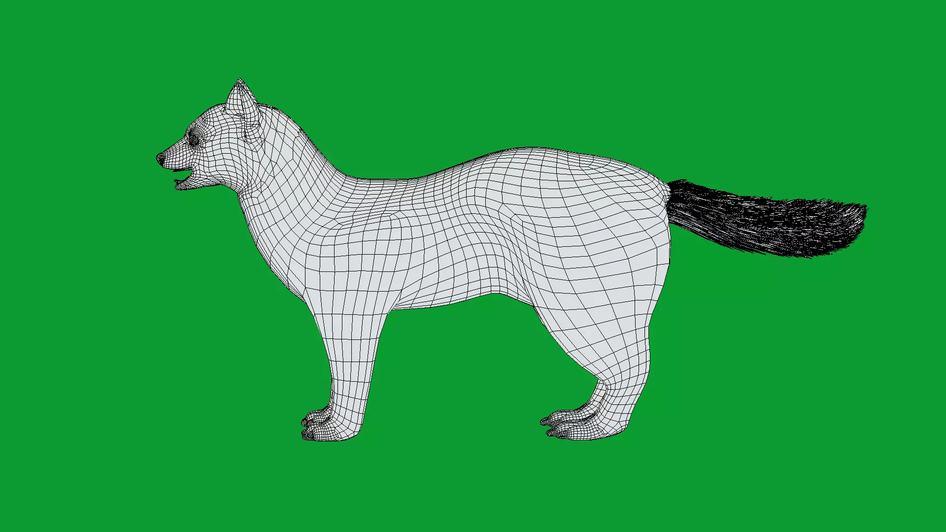 European Pine Marten Low-poly 3D model_22