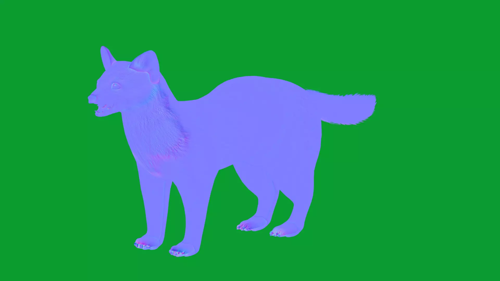 European Pine Marten Low-poly 3D model_39