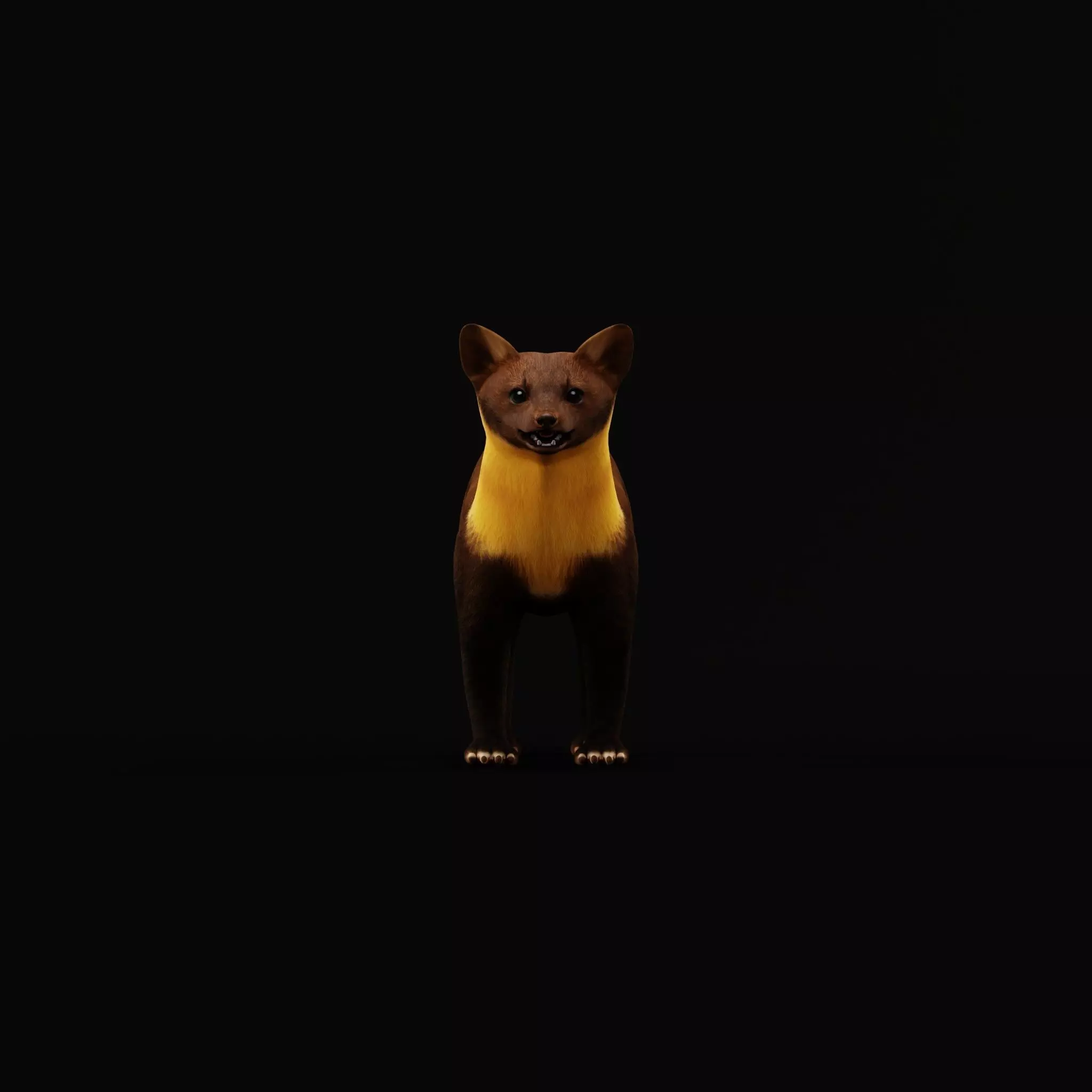 European Pine Marten Low-poly 3D model_9