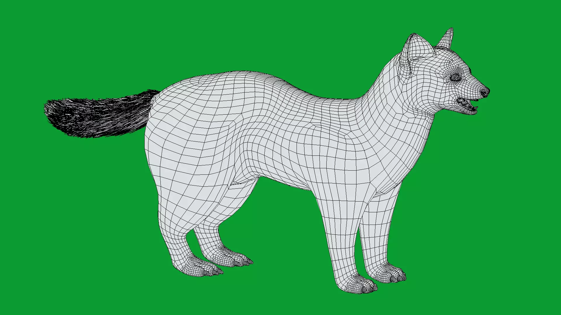 European Pine Marten Low-poly 3D model_16