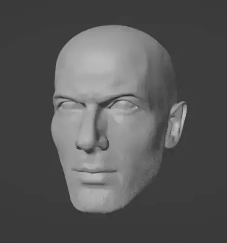 Zinedine Zidane Head