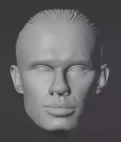 Erling Haaland Head