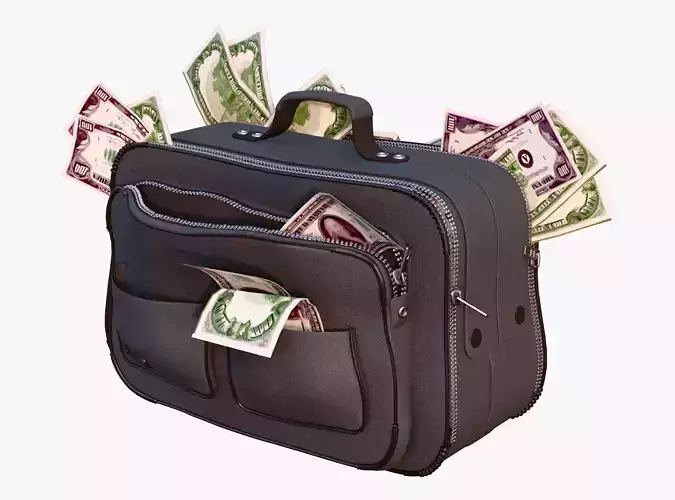 Money Bag with Cash M1