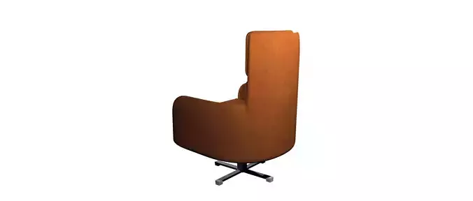Leather Arm Chair