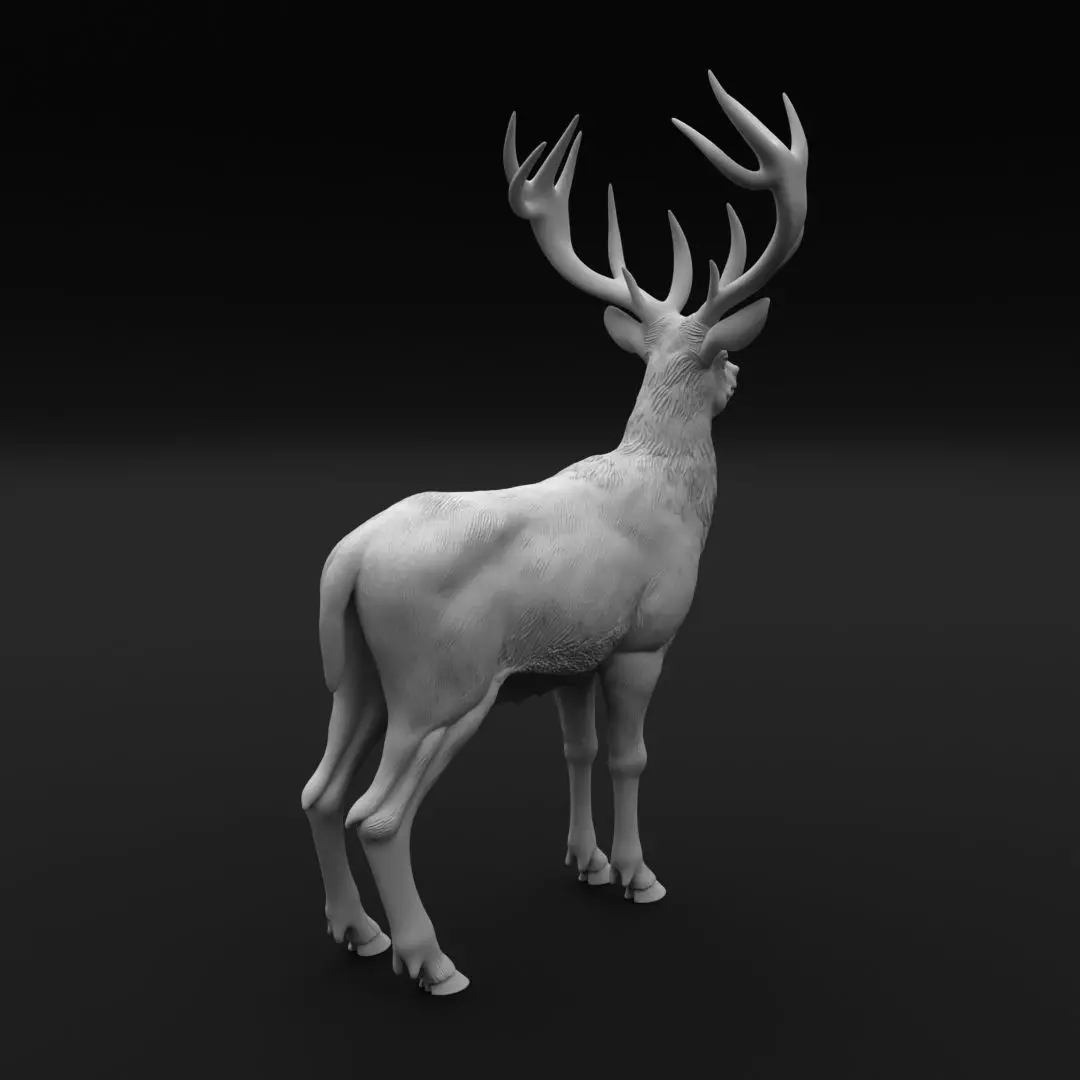 Majestic Red Deer Stag - 3D Print Model 3D print model_3