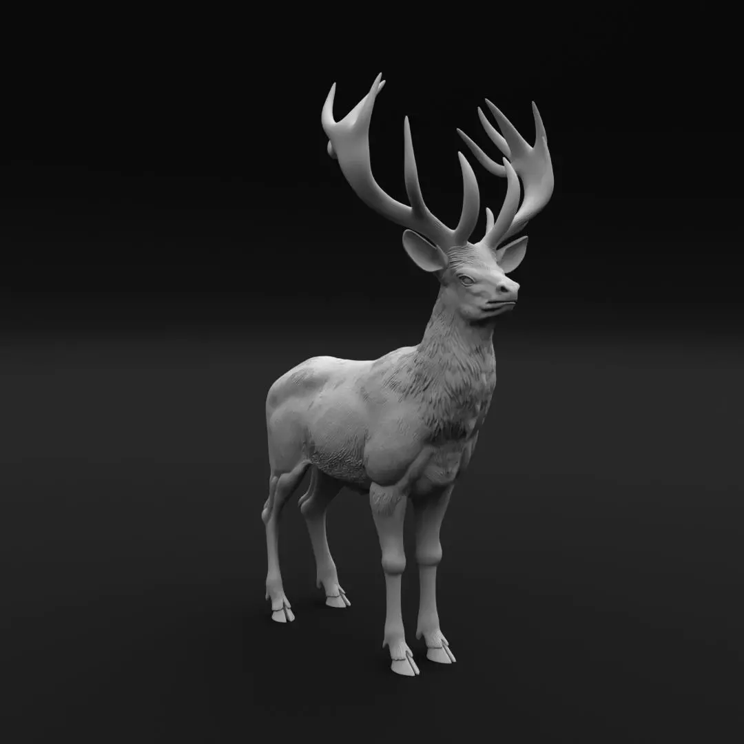Majestic Red Deer Stag - 3D Print Model 3D print model_4