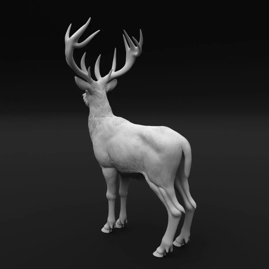 Majestic Red Deer Stag - 3D Print Model 3D print model_2