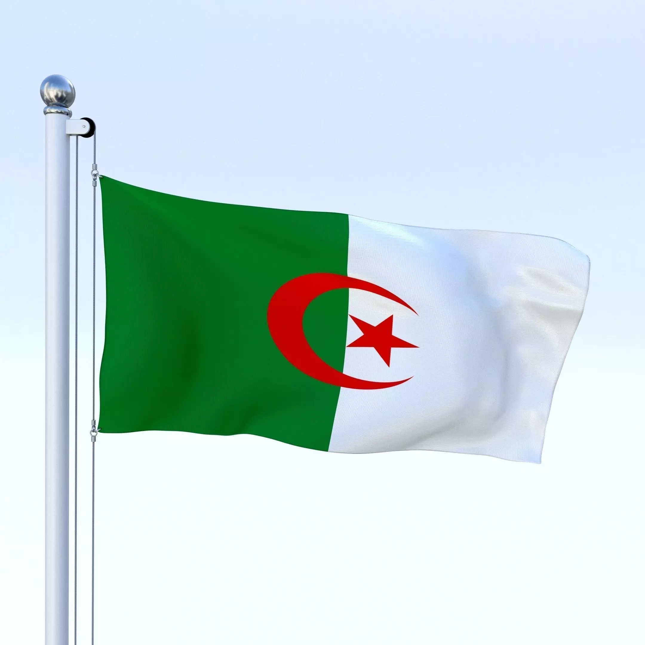 Animated Algeria Flag Low-poly 3D model_0