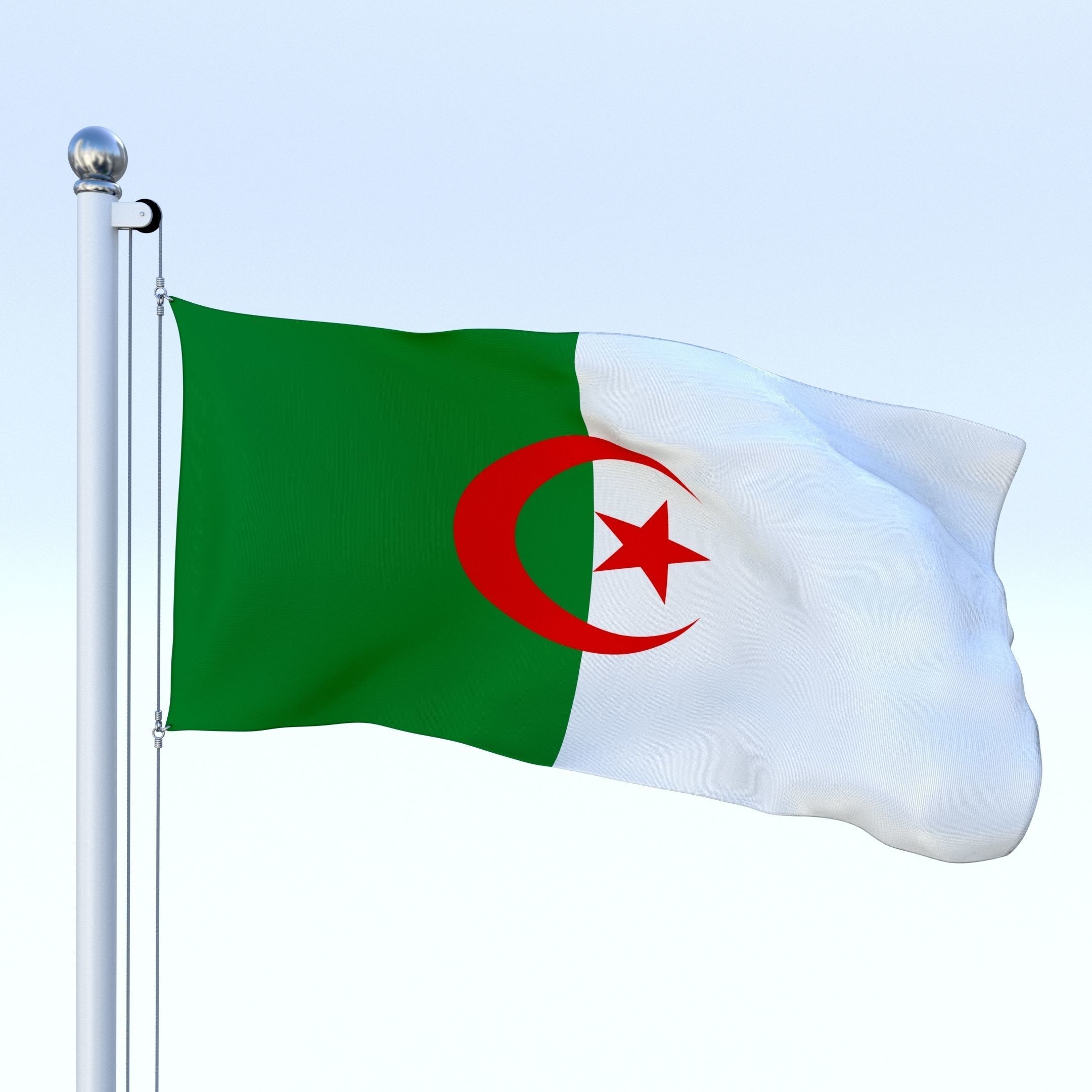 Animated Algeria Flag Low-poly 3D model_26