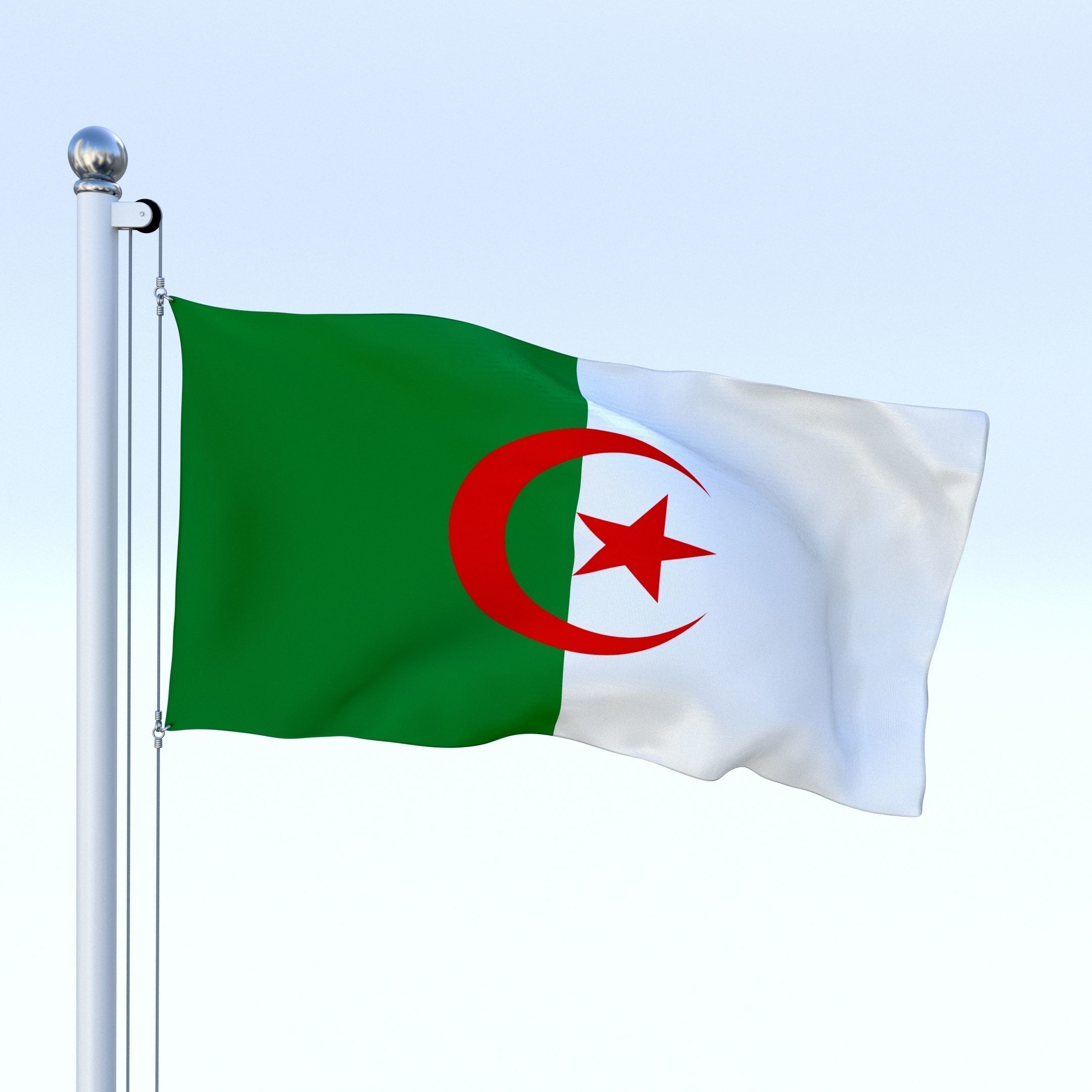 Animated Algeria Flag Low-poly 3D model_5