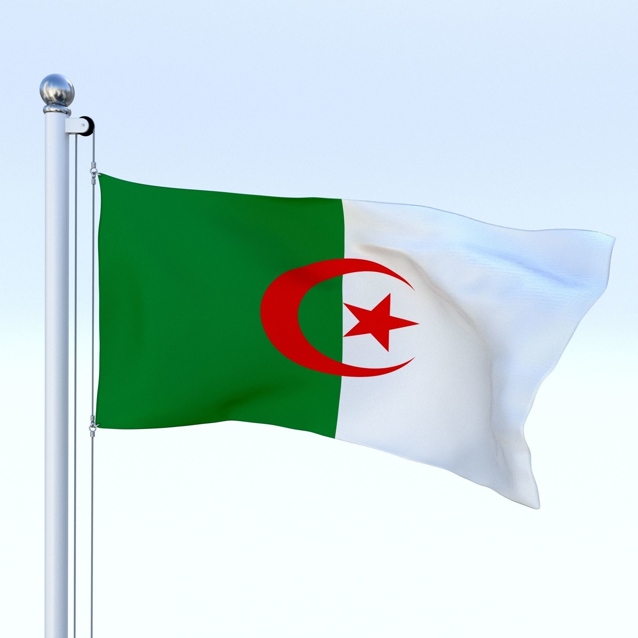 Animated Algeria Flag Low-poly 3D model_6