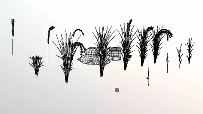 Rice Farm Growth Stages  LOD 3D Bundle Low-poly 3D model 6