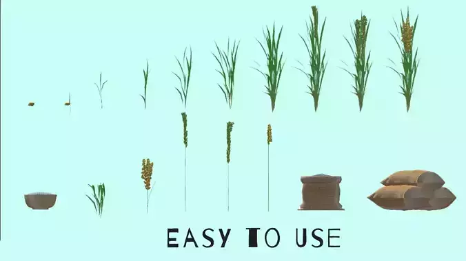 Rice Farm Growth Stages  LOD 3D Bundle Low-poly 3D model 5