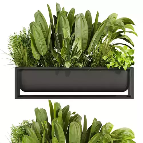 plant vol 702 - banana - grass - pothos 3D model