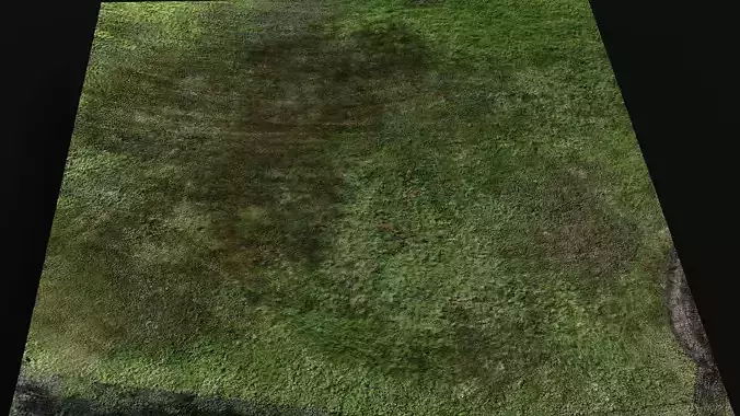 terrain landscape grass field detail scan PBR photogrammetry
