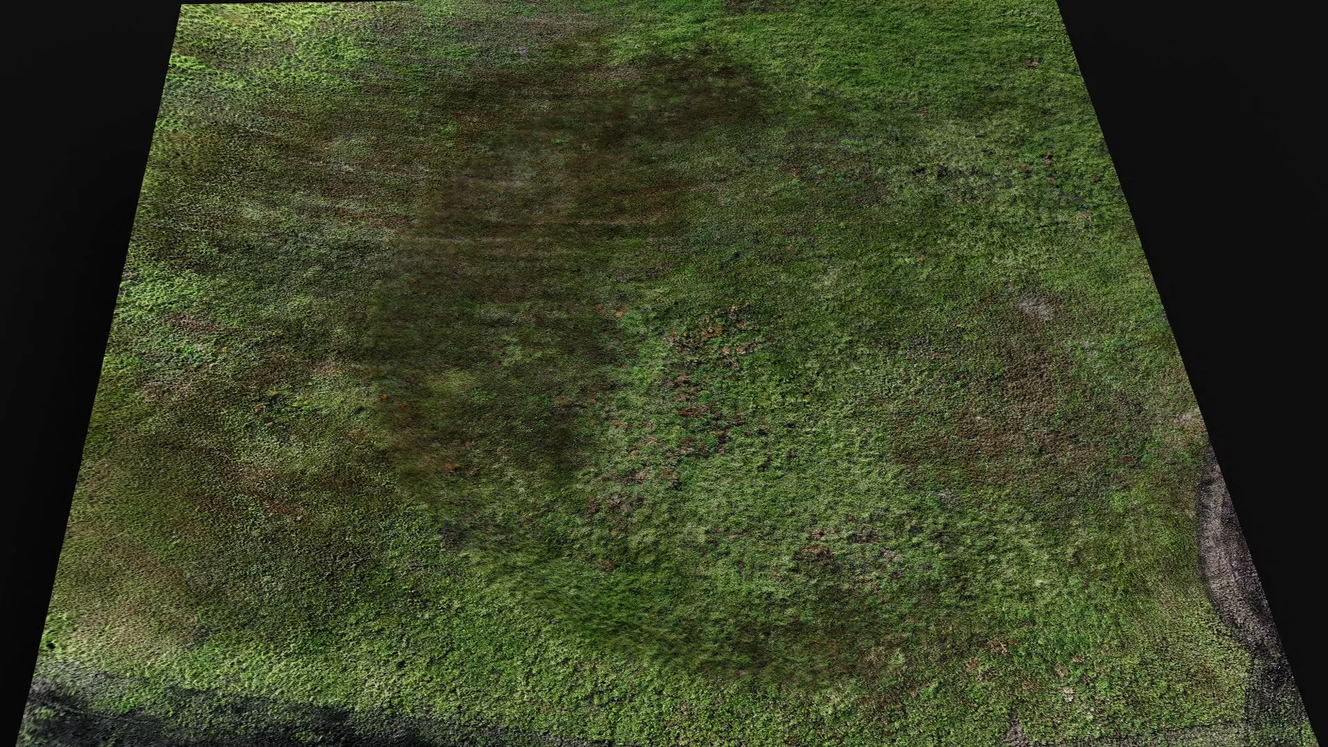 terrain landscape grass field detail scan PBR photogrammetry Low-poly 3D model