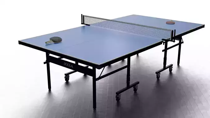 Professional Table Tennis 