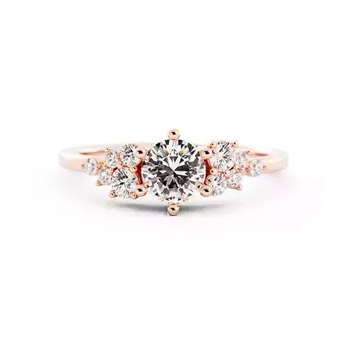 Round Diamond Cluster Engagement Ring 3DM