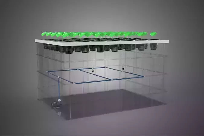 TRANSPARENT AEROPONIC PLANT CROP TANK NET POTS PUMP GROWING TRAY