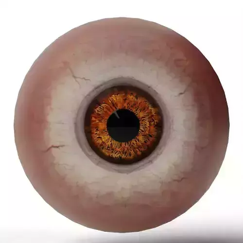 Realistic Human Eyeball - Amber Iris Edition