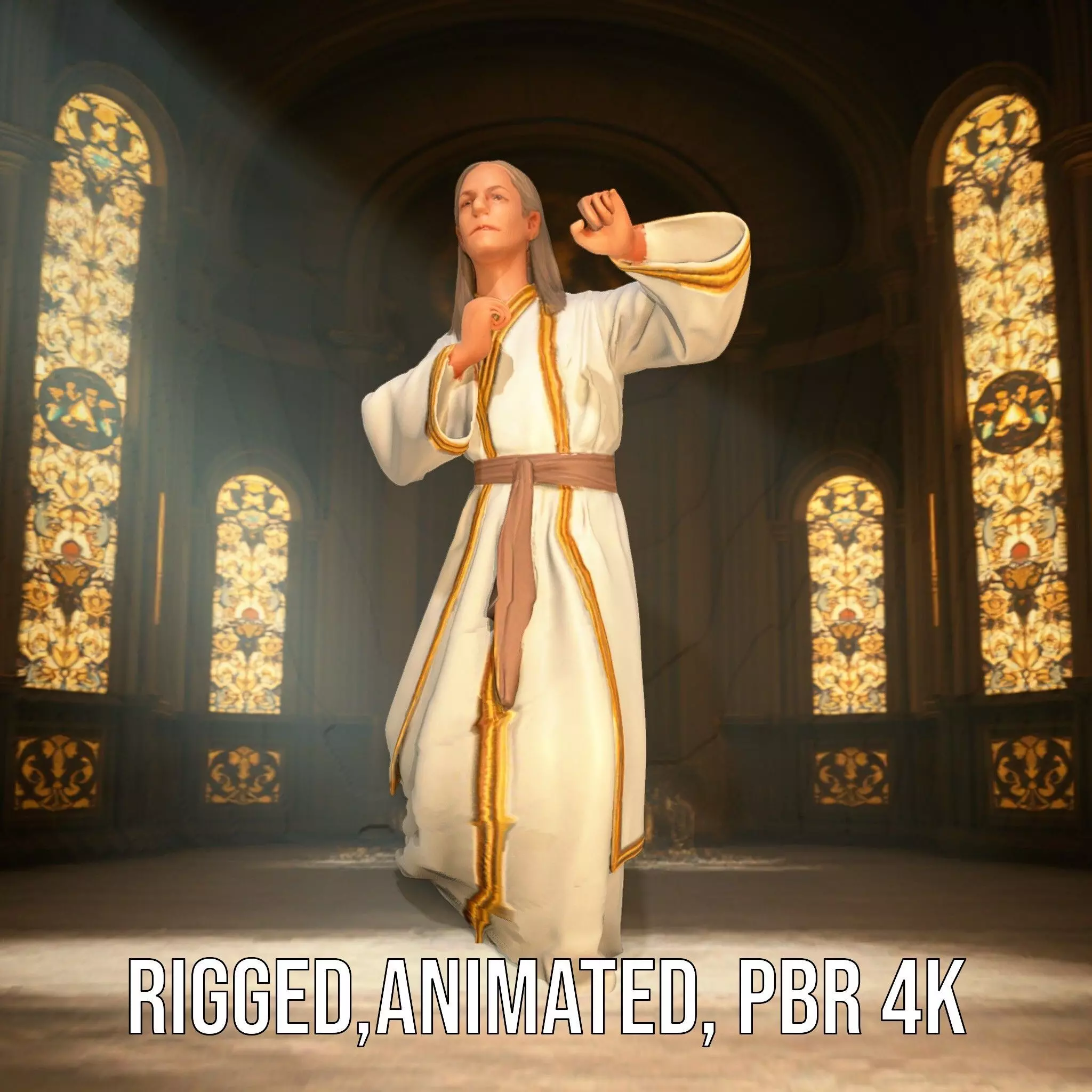 Serene Sage Robe model pack Low-poly 3D model_0