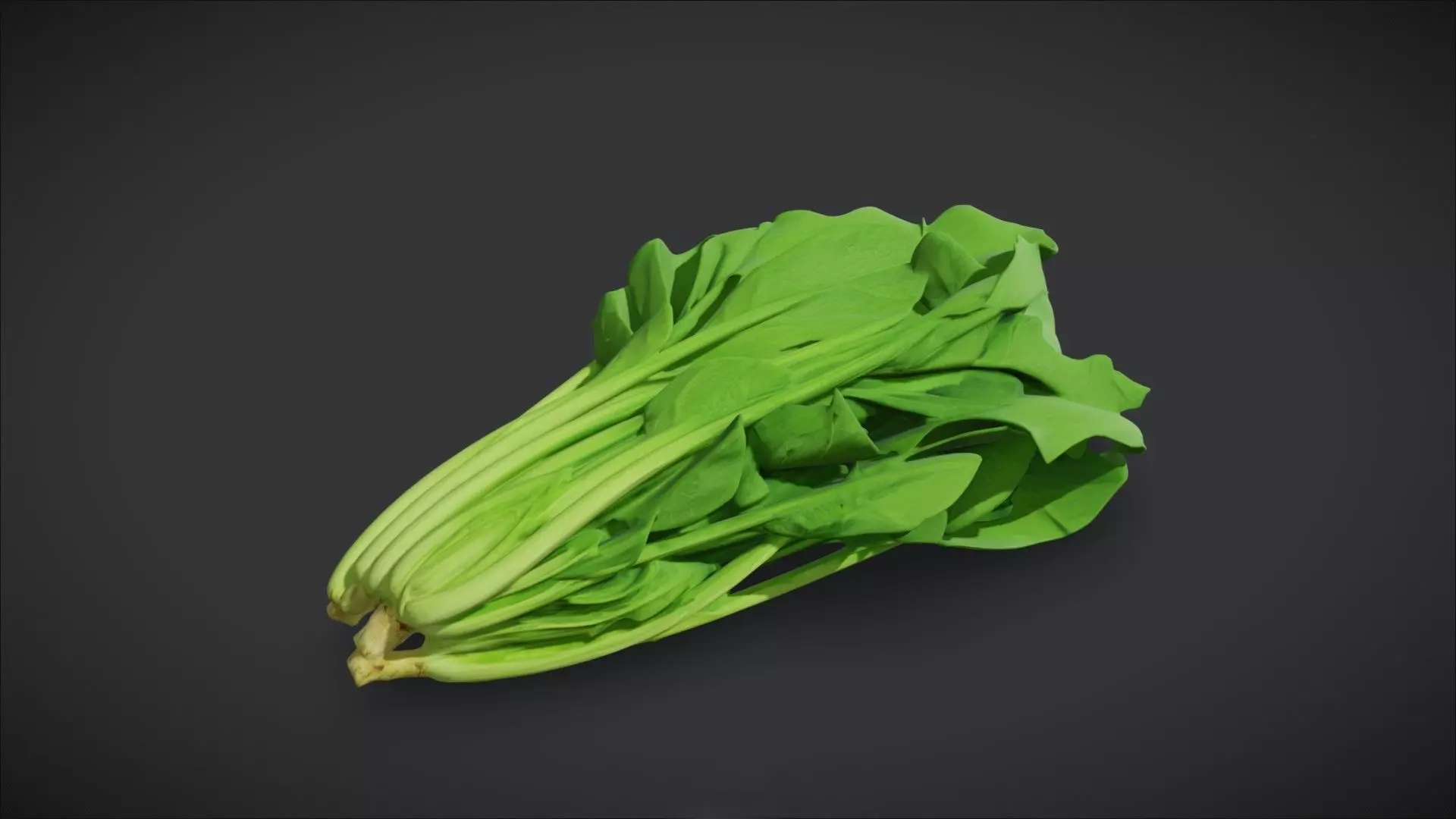 Spinach 3D model_0