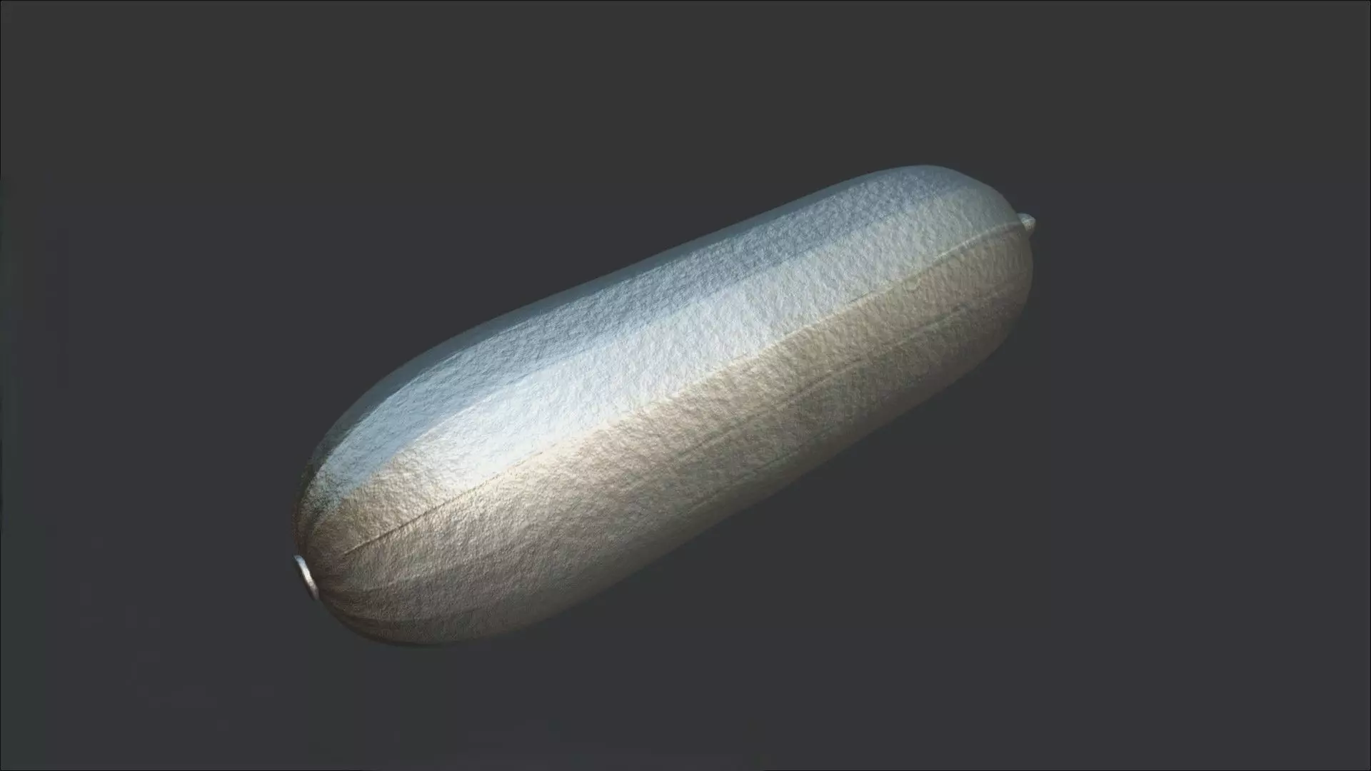 Sponge Gourd 3D model_1