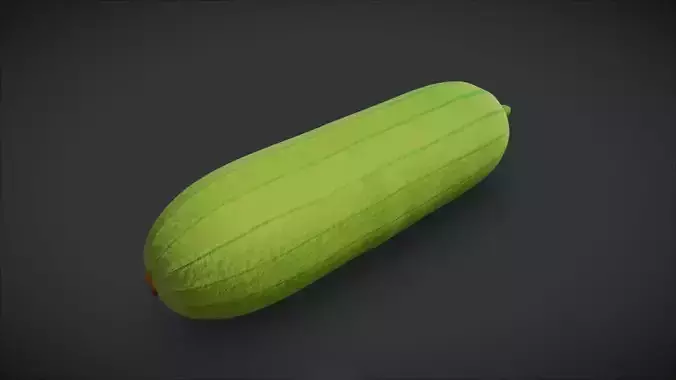 Sponge Gourd