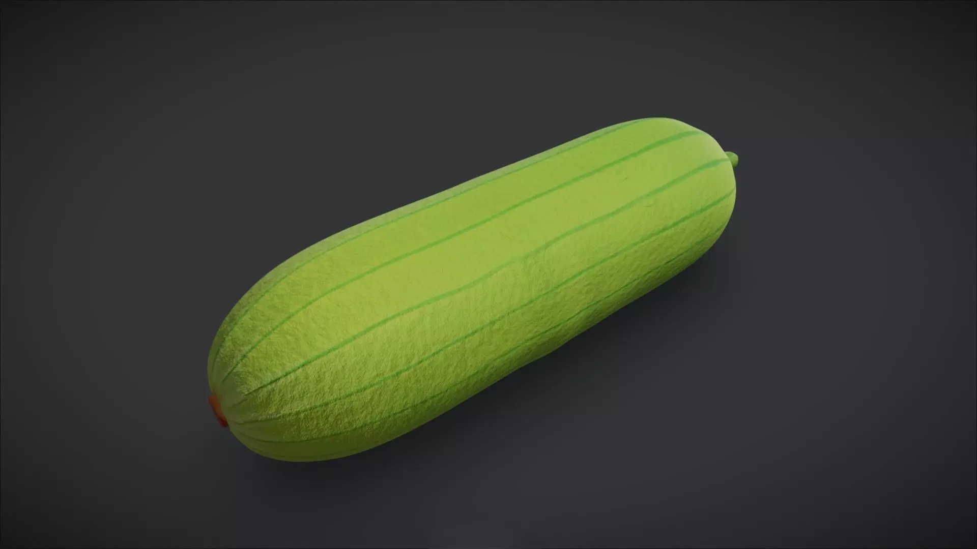 Sponge Gourd 3D model_0