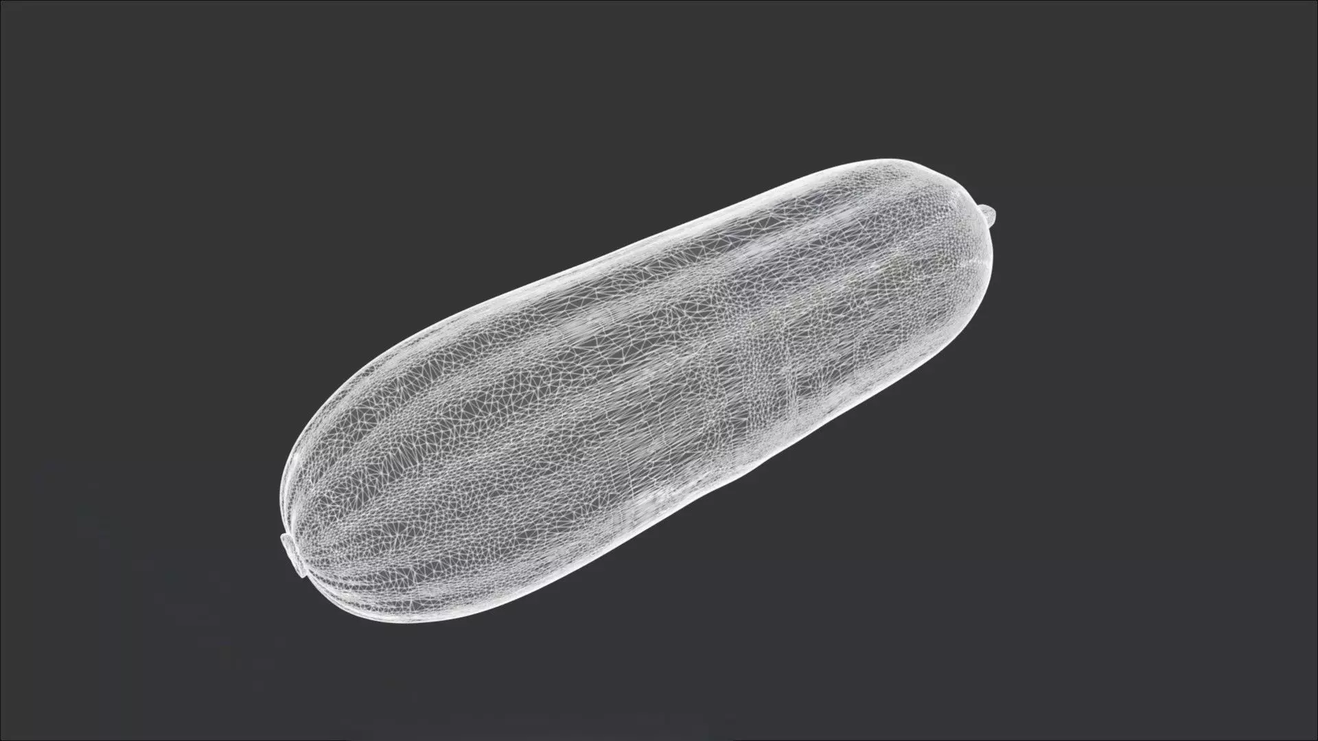 Sponge Gourd 3D model_2