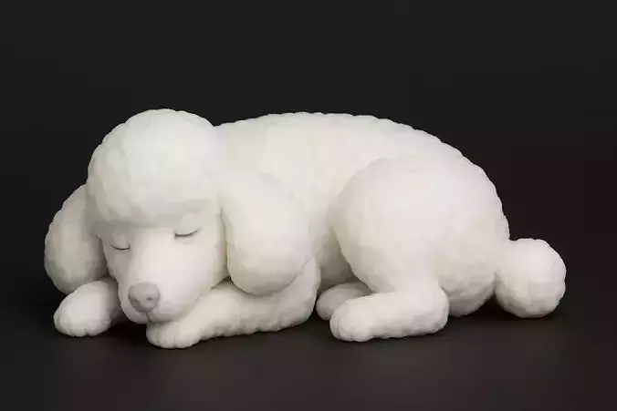 Sleeping Poodle Dog 
