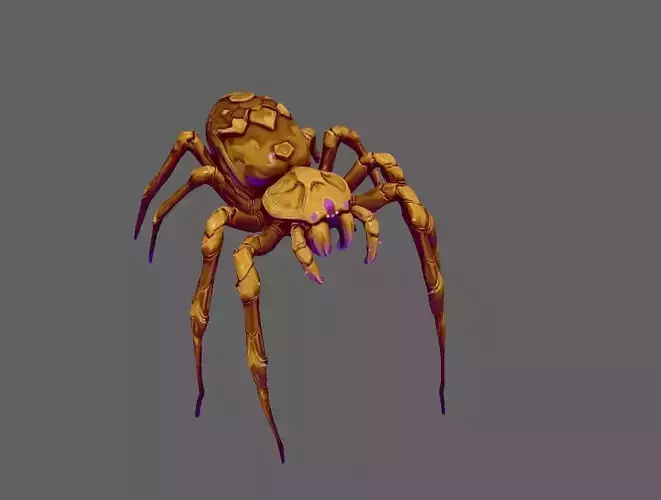 Spider