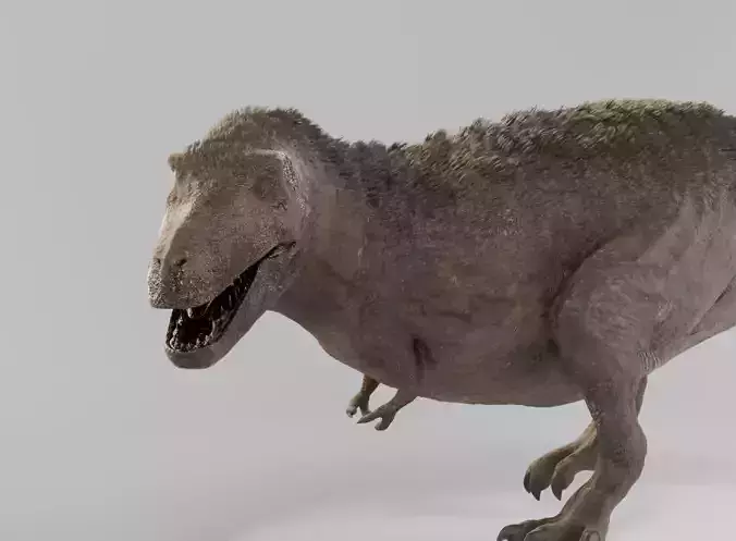 Tyrannosaurus Feathered