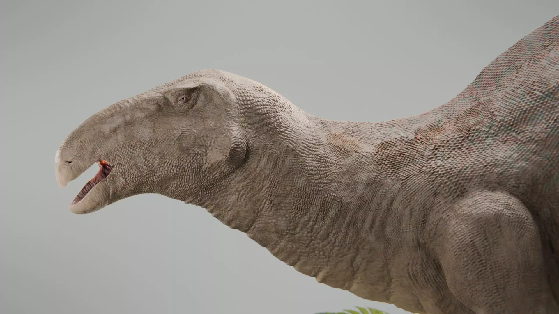 Iguanodon Low-poly 3D model_5