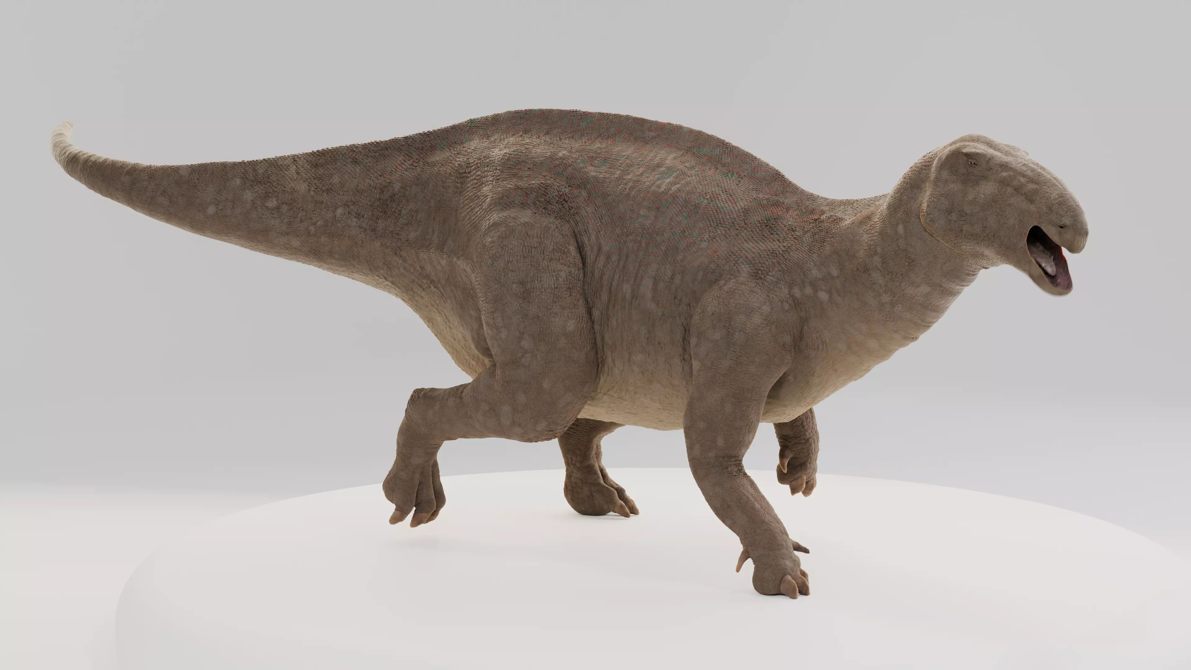 Iguanodon Low-poly 3D model_4
