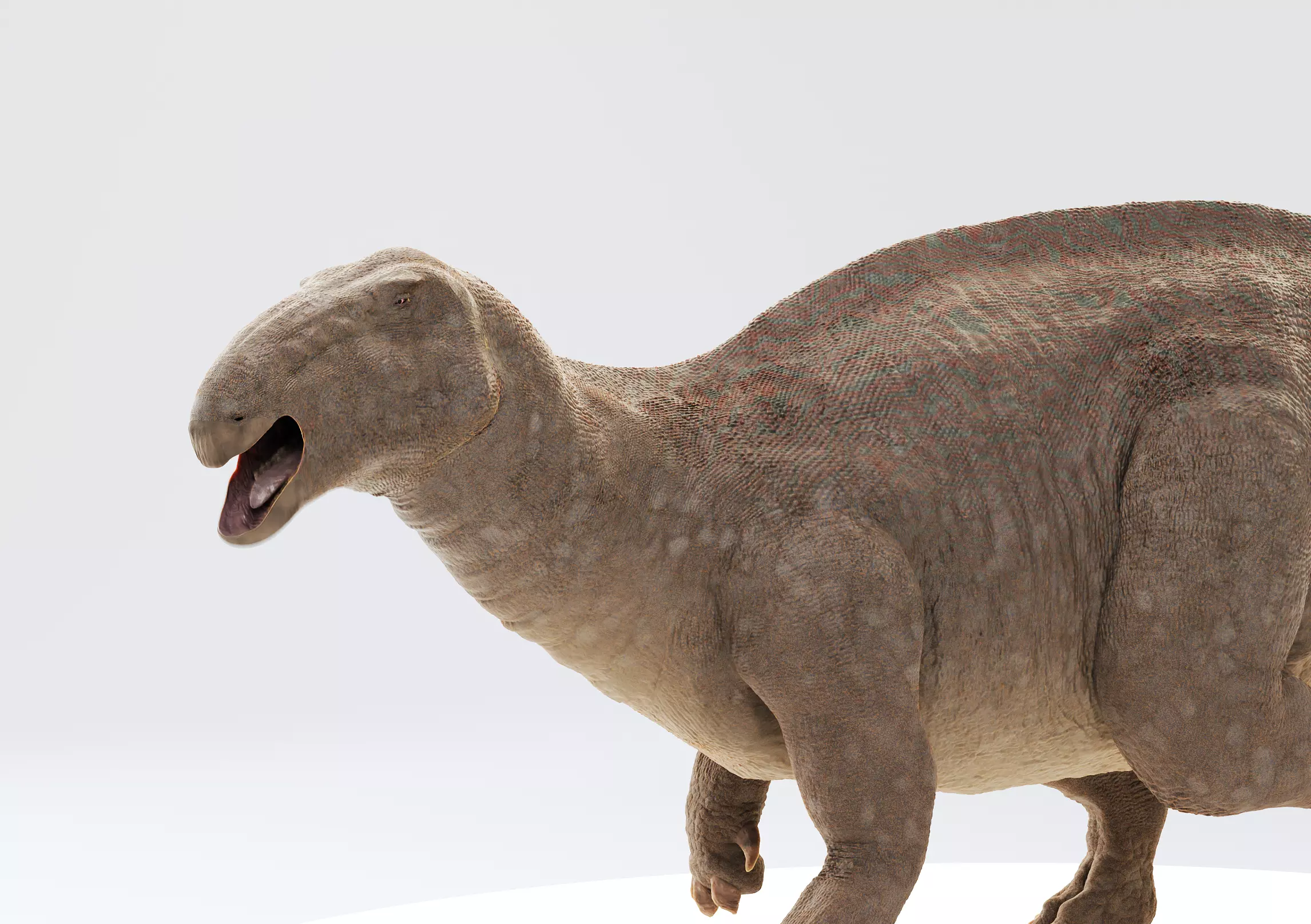 Iguanodon Low-poly 3D model_0